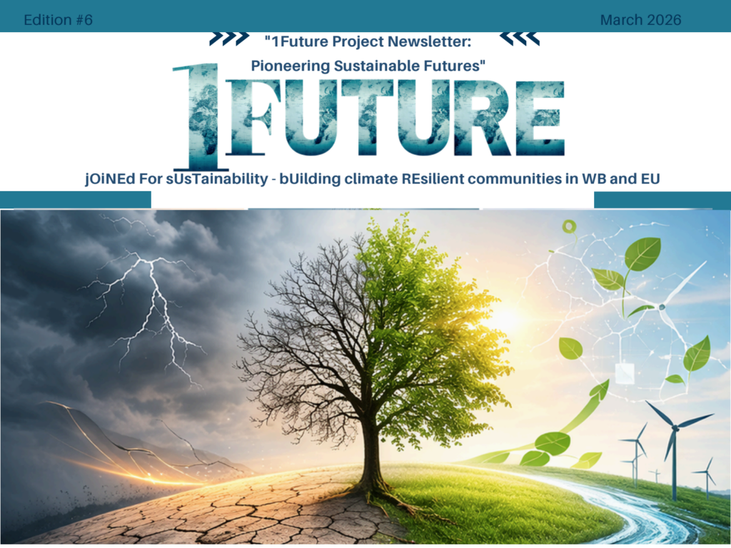 6th newsletter in the Erasmus+ project 1Future is published